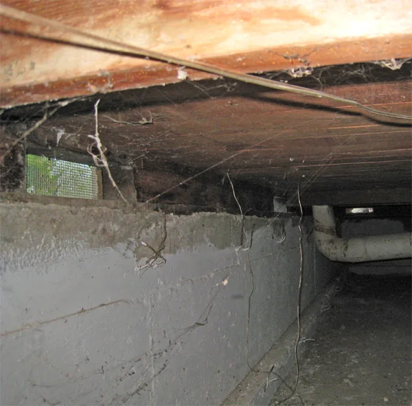 Crawlspace Water Removal in a Salt Lake City home