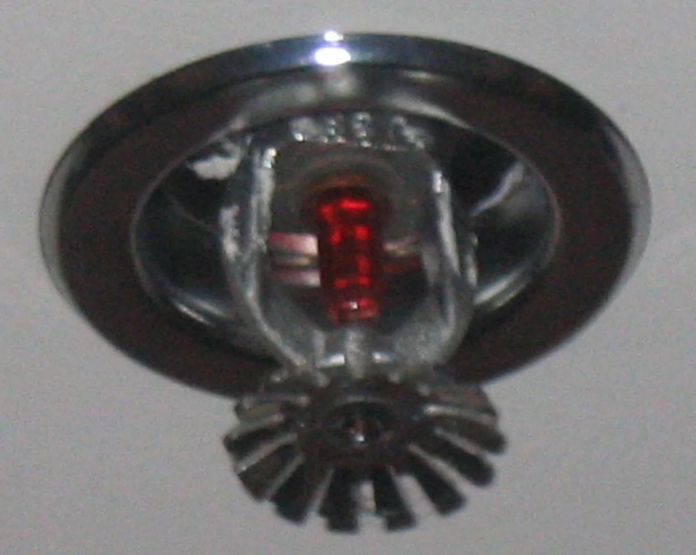 Fire Sprinkler Discharge in a Salt Lake City home