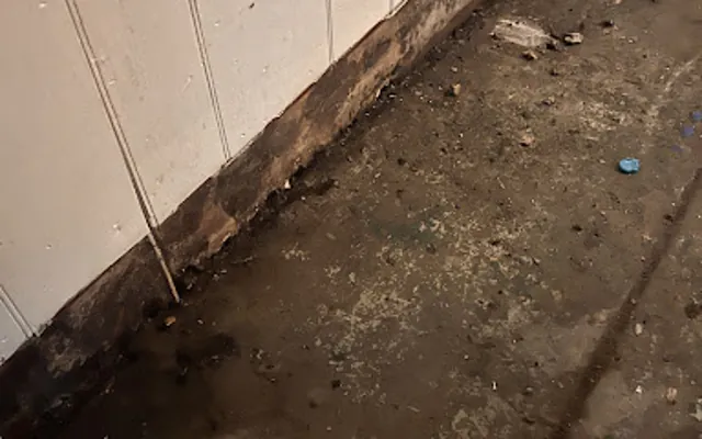 Drain Backup in a Salt Lake City home