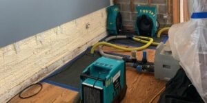 How Water Remediation Prevents Mold Growth in Your Home
