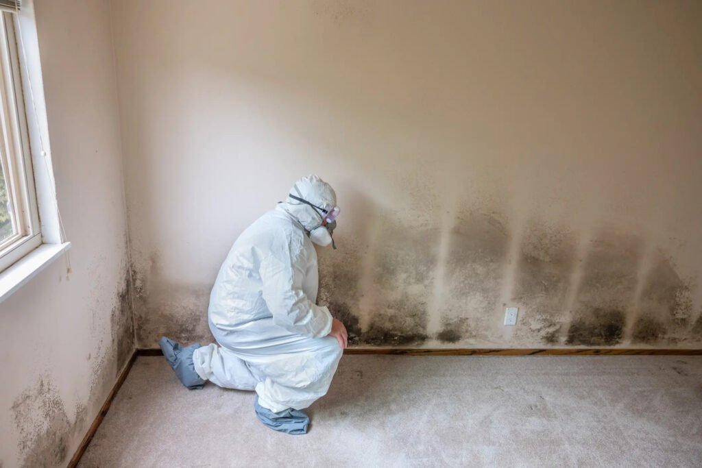 Mold Exposure Risks Every Homeowner Should Know