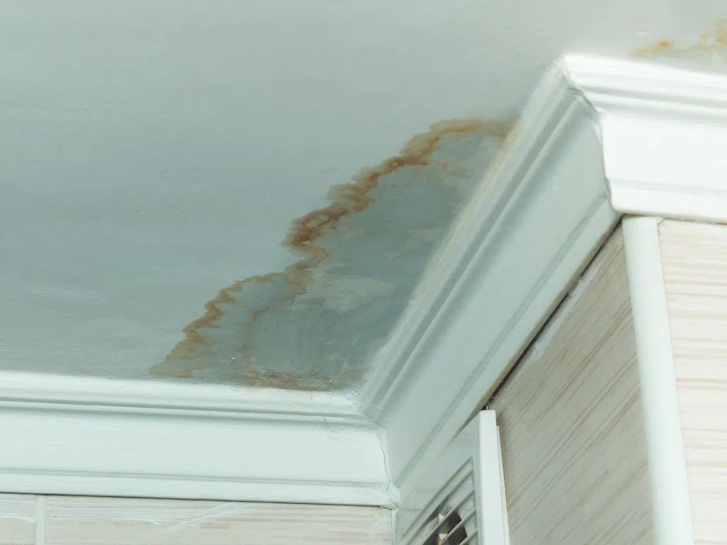 Salt Lake City Damage Restoration Pros 