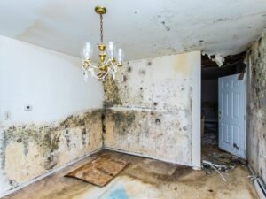 What Happens If Water Damage Is Left Untreated