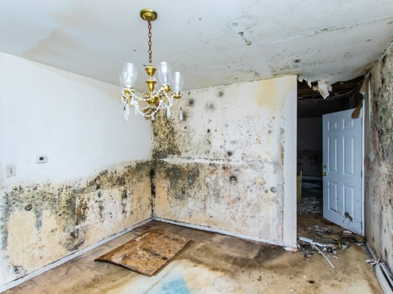 What Happens If Water Damage Is Left Untreated