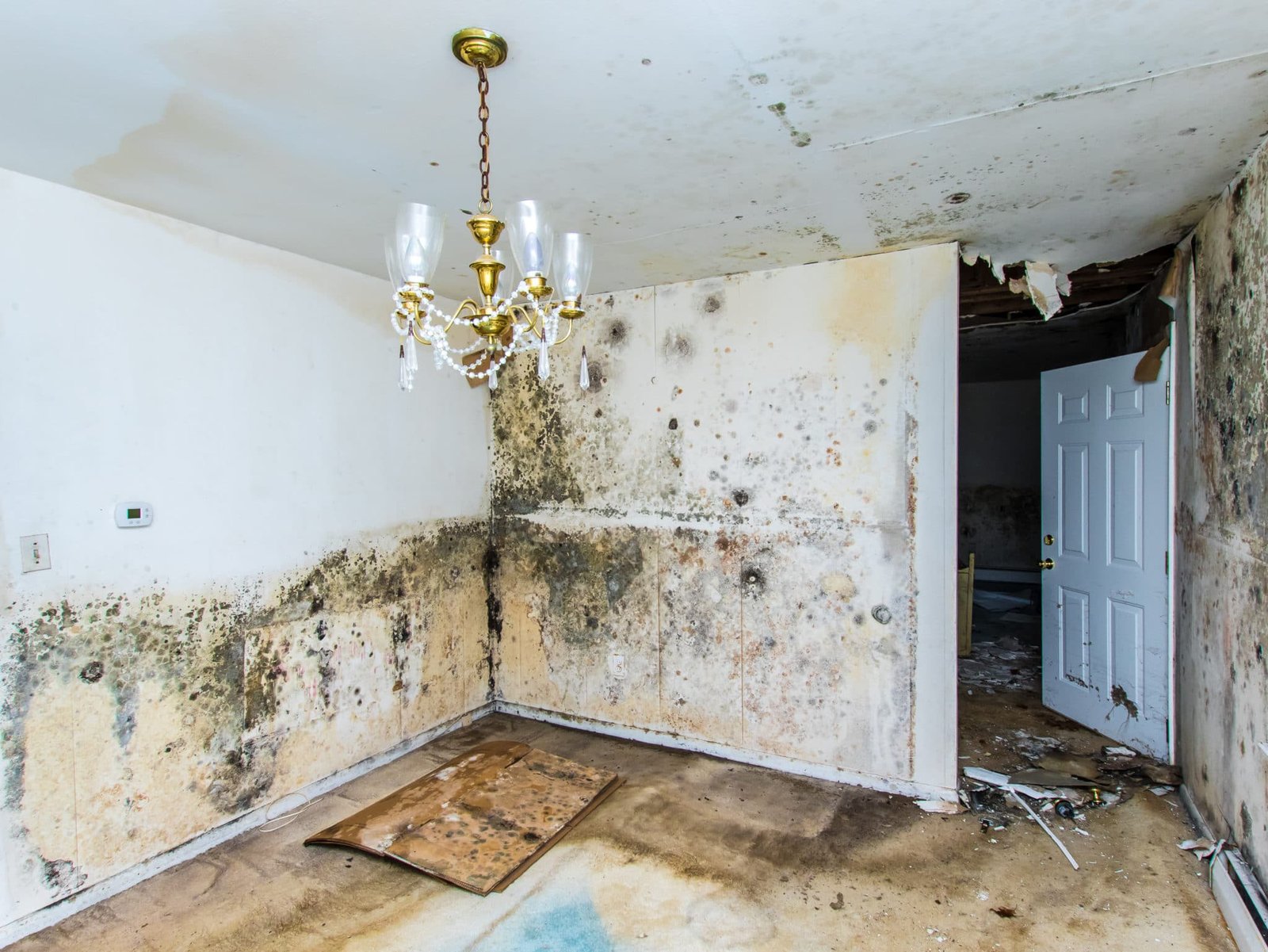 What Happens If Water Damage Is Left Untreated