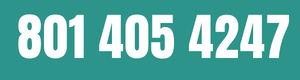 (801) 405-4247