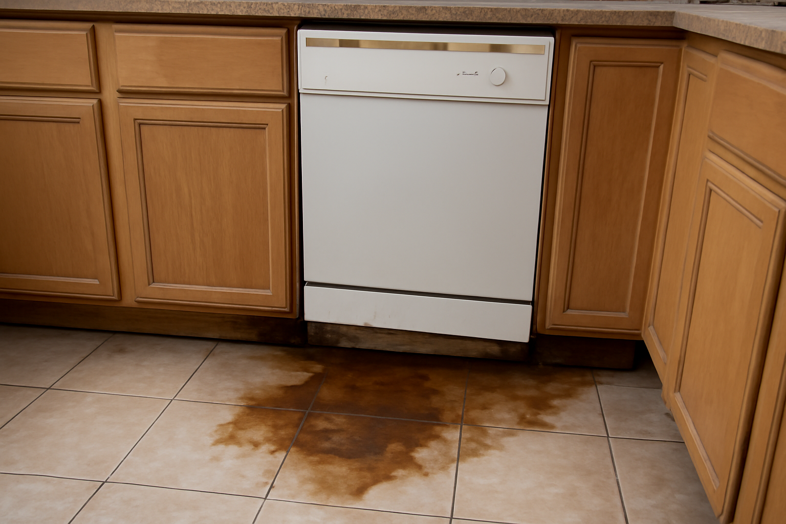 Dishwasher Leak Water Damage in Orem, UT